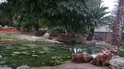¡Revive el manantial ‘curativo’ de San Lorenzo Teotipilco! Vecinos celebran su regreso