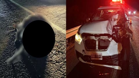 Camioneta Choca Contra Vaca en la Atlixcáyotl y ambos Quedaron Destrozados