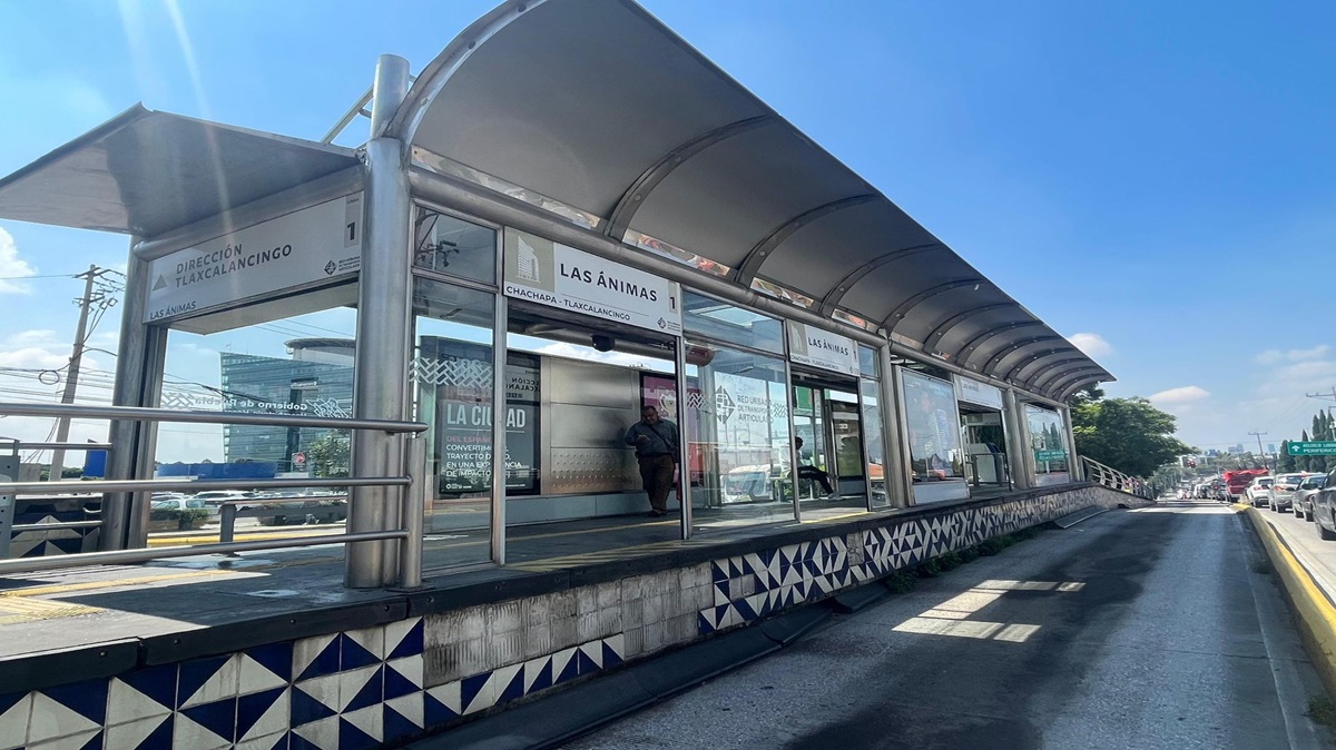 ¡Atención Automovilista! Multas Reactivadas en Carril de Línea 1 de RUTA; Esto podrías pagar