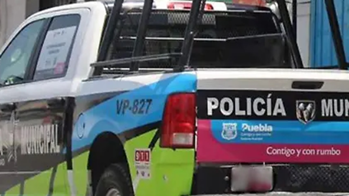 ¡Atención! Asaltan a Joven en Puebla Mientras Paseaba a Sus Perros en la Colonia Las Hadas