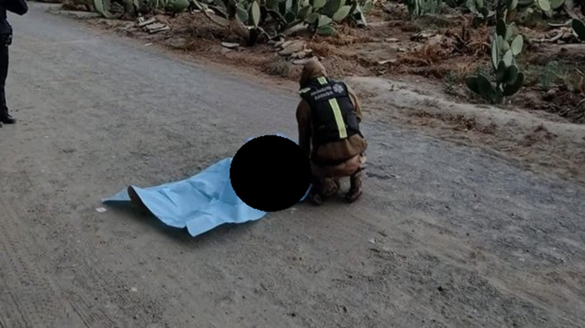 Impacto en General Felipe Ángeles: Hallan a hombre baleado y golpeado en campos de cultivo