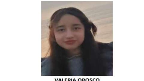 Desaparece Otra Niña en Puebla: Valeria Orosco Vista por Última Vez en San Pedro Cholula