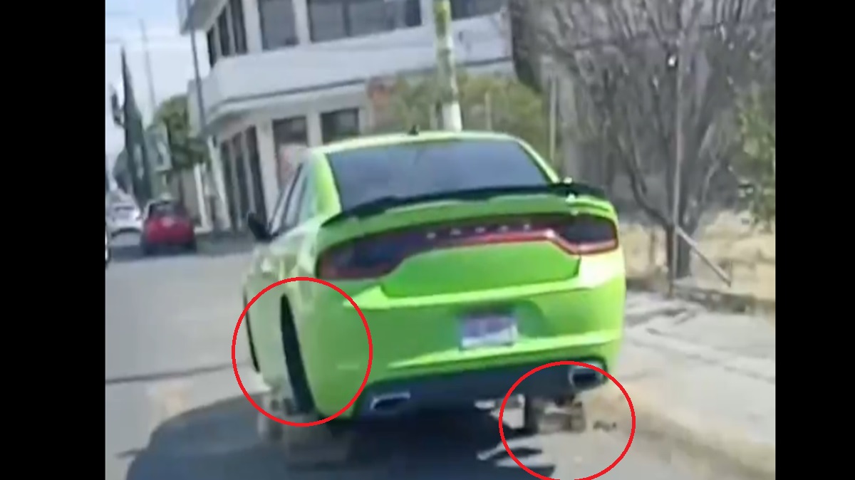 IMPARABLE Robo de autopartes en Puebla: Dodge Charger amaneció sin llantas en San Andrés Cholula