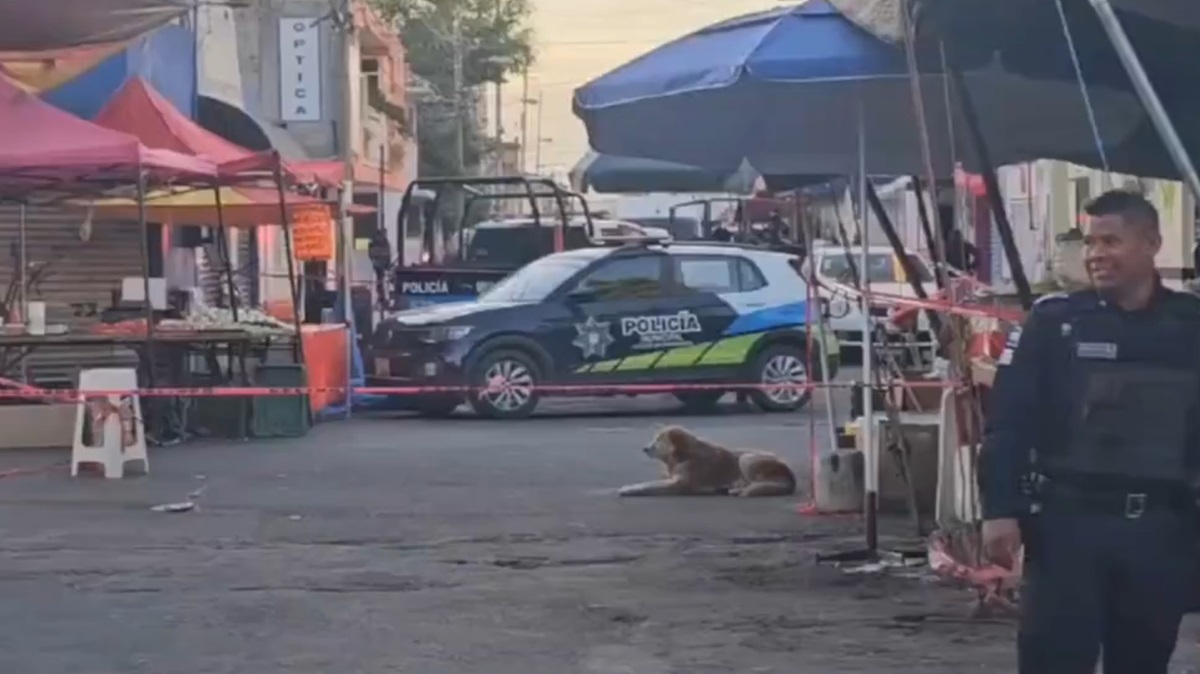 Terror en Puebla: ataque armado en tianguis de Loma Bella causa caos y muerte FUERTE FOTO