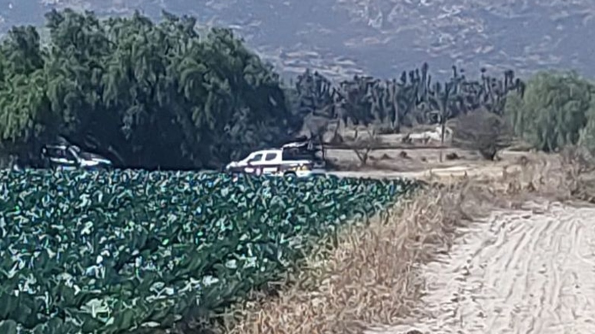 Macabro hallazgo en Tecamachalco: Localizan cadáver en El Salado
