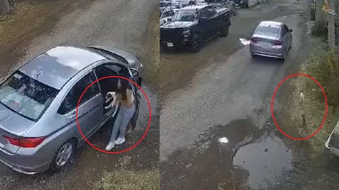 Video: Perritos corren detrás del auto de su dueña tras ser abandonados en Puebla