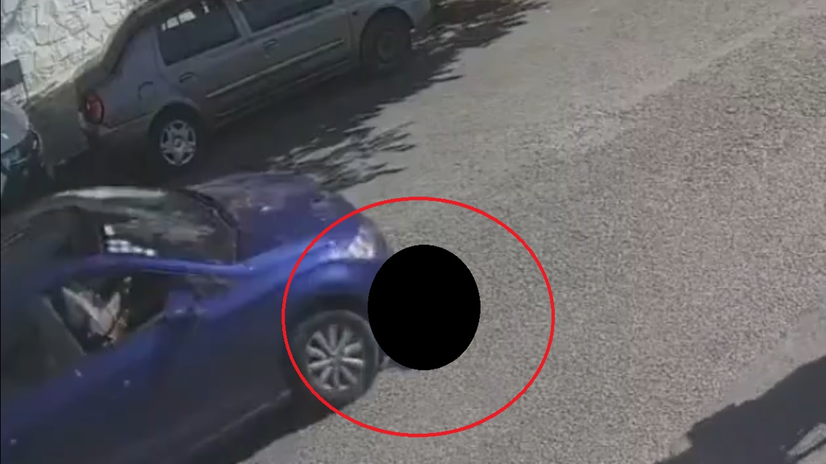 ¡Indignante! VIDEO Buscan al responsable de atropellar a un perrito en San Manuel