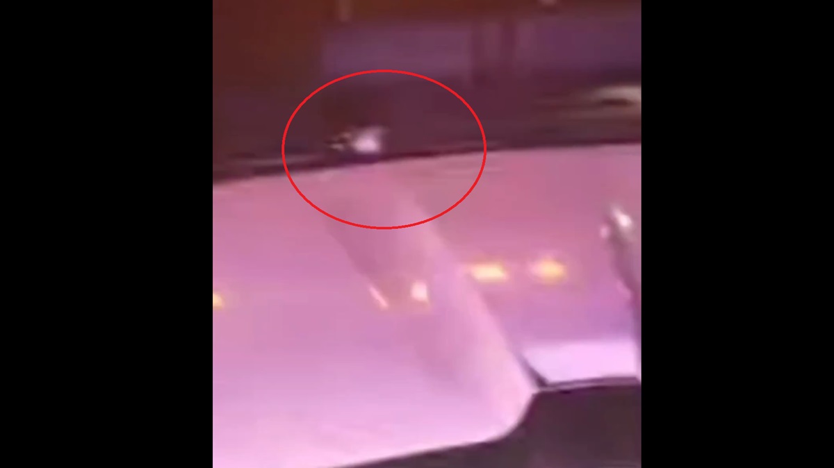 VIDEO Transportistas en Alerta: Asaltantes Atacan a Tiros en la Cuacnopalan-Oaxaca
