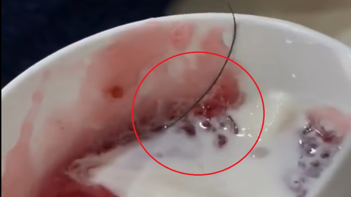 Cliente encuentra pata de cucaracha en fresas con crema de local en el centro de Puebla