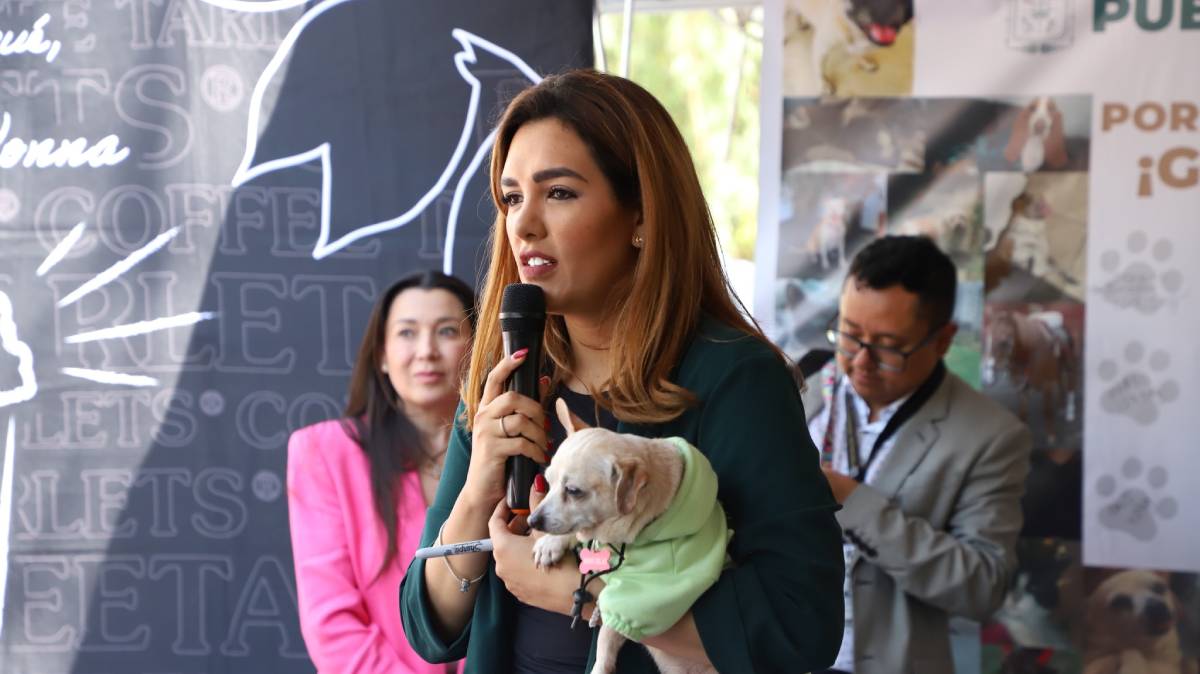 Amenazas y misoginia: galleros en Puebla arremeten contra funcionaria por prohibición de peleas