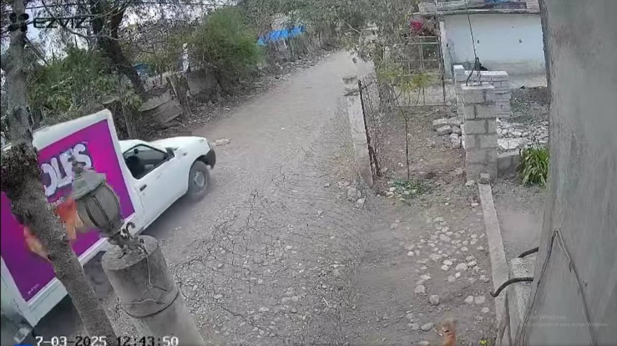Impactante Accidente en Puebla: Camioneta de Bimbo Atropella a Perro y Causa Indignación