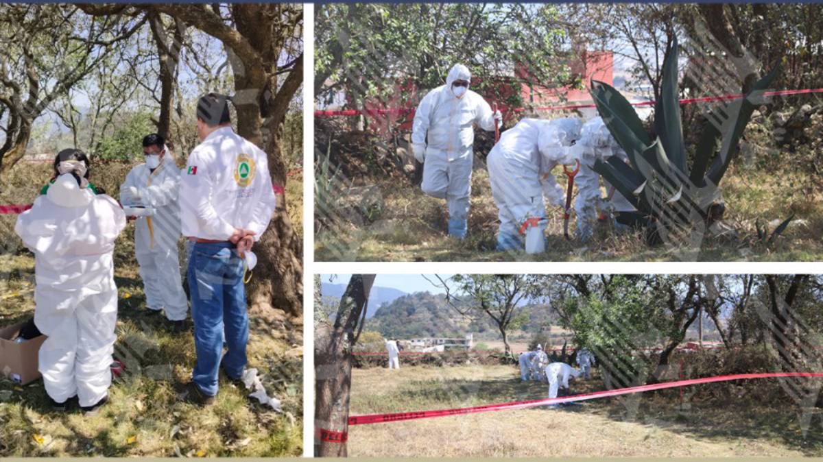 Exhuman a “Lanuda”, la perrita hallada muerta en Zacatlán: Fiscalía investiga posible crueldad animal