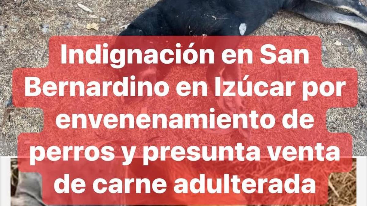 Escándalo en Izúcar: Vecinos Acusan a Vendedor de Barbacoa de Mezclar Carne de Perro con Chivo