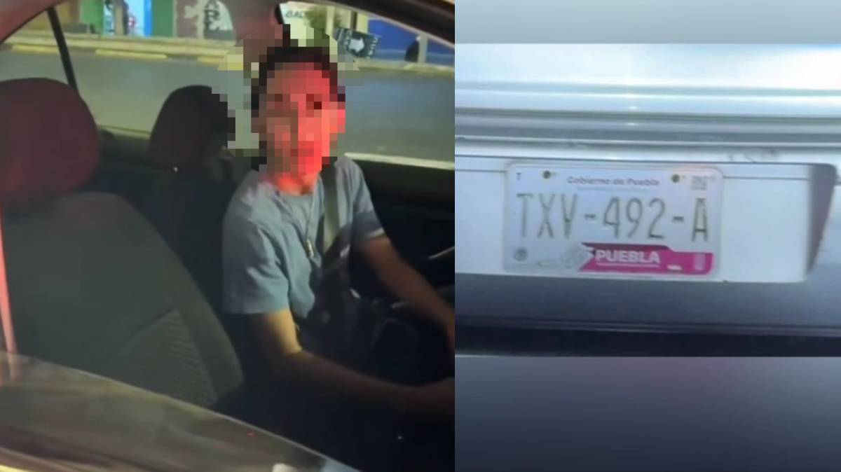 Indignación en Puebla: Conductor Atropella y Mata a un Perro Callejero, Luego Huye
