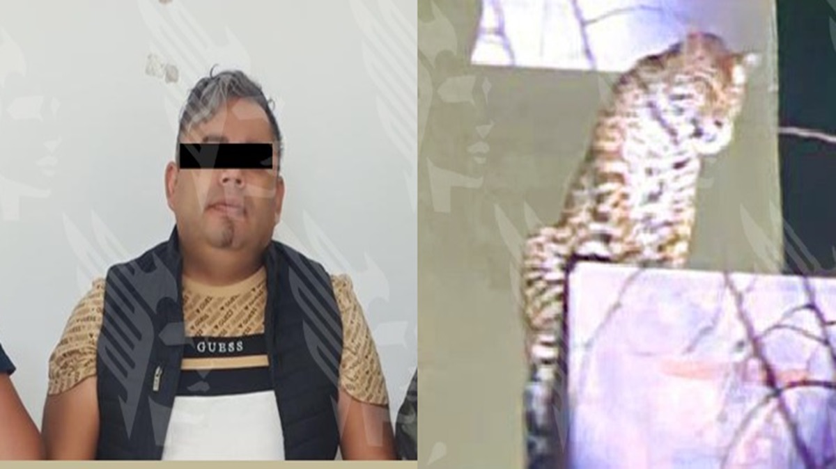 Alejandro presumía vida de lujos y a su jaguar en redes; ahora enfrenta cargos por intento de homicidio en Puebla