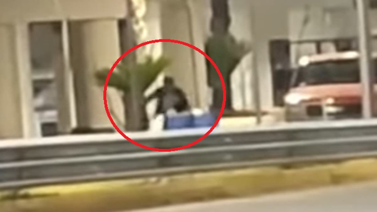 VIDEO: ¡Se roban hasta las palmeras! Sujetos saquean nuevo distribuidor vial de Amalucan