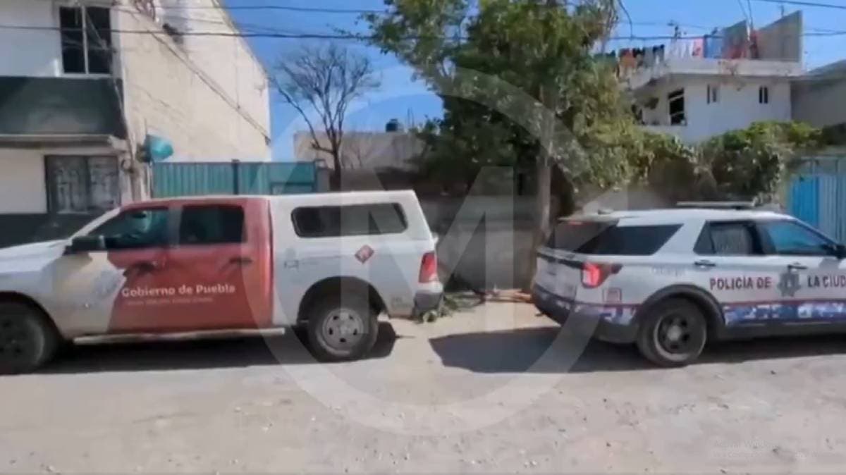 Hallan restos de niño desaparecido en 2020 en Playas del Sur, Puebla: cateo revela escalofriante verdad