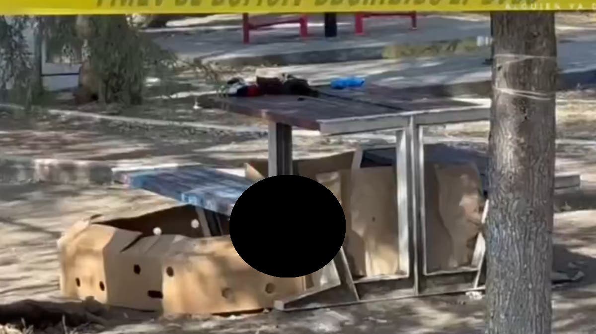 Murió de tristeza: hombre fallece en un parque de Puebla tras días llorando por su ex