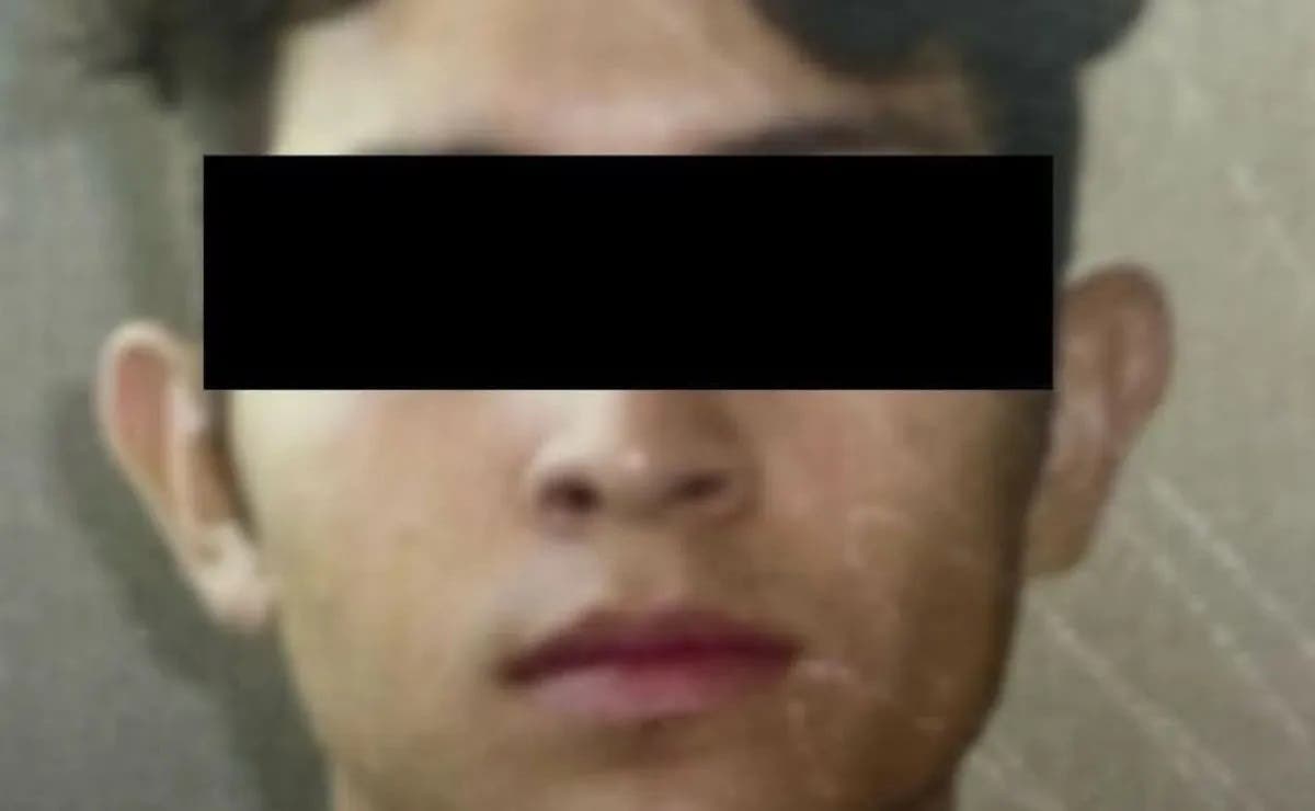 Ailene fingió estar muerta y vivió para contar su historia: su agresor ya está preso