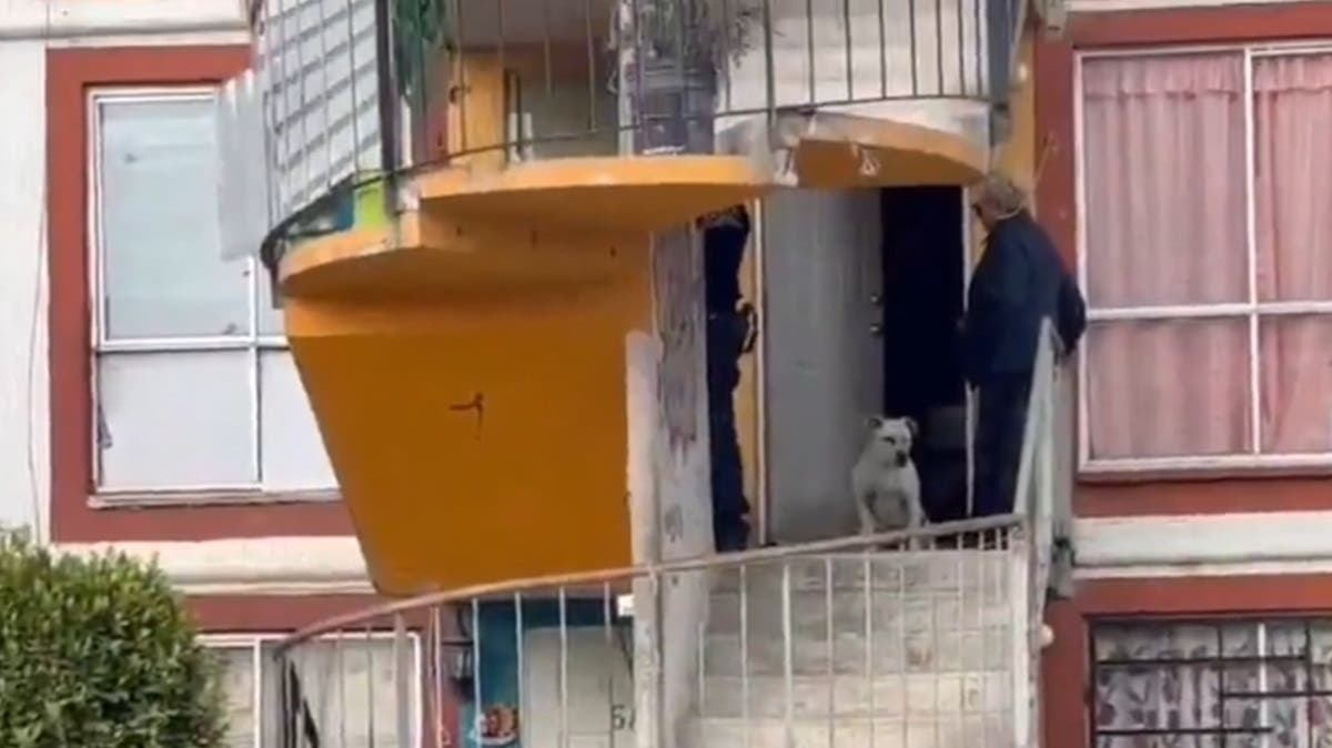 ¡Cayeron! Detienen a dos mujeres por meterse a un depto clausurado en Misiones de San Francisco