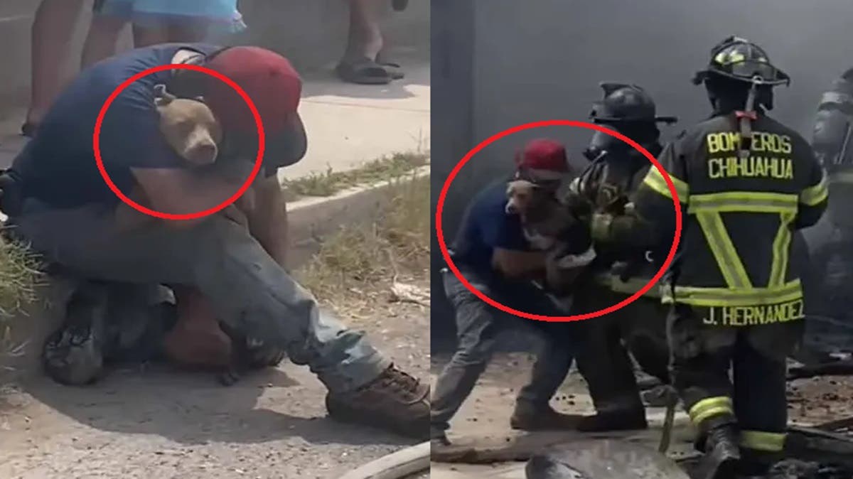 VIDEO “¡Perdóname!”: Hombre rompe en llanto al reencontrarse con su perrita tras incendio en Chihuahua