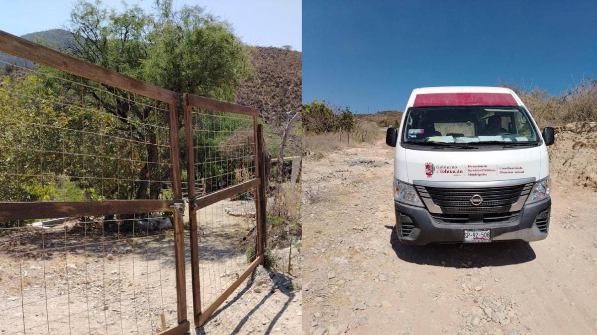 Envenenan a ocho perros en Coyomeapan: vecinos claman justicia por cruel acto en la madrugada