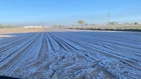 ¡Adiós verduras baratas! Se disparan precios agrícolas en Puebla tras heladas