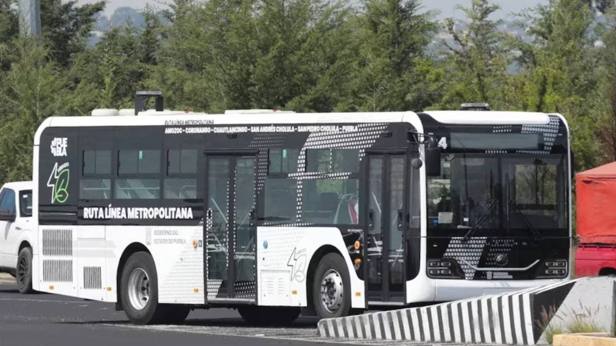 “Del viaje gratuito al golpe al bolsillo” – Inicia el cobro en la Línea 4 de RUTA y estalla la inconformidad ciudadana