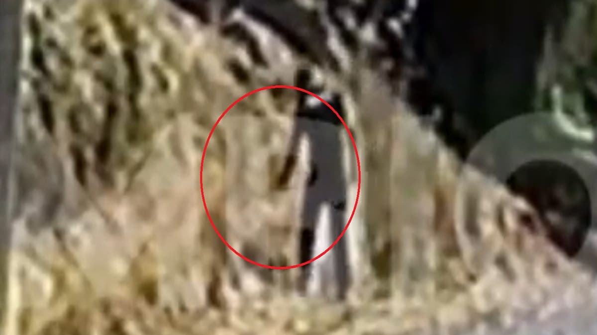 VIDEO | Captan a hombre prendiendo fuego en Tianguismanalco: provocó incendio con total cinismo