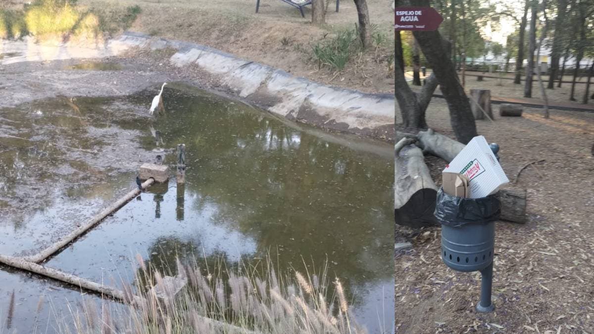 El grito ahogado del Parque Juárez: estanques contaminados y aves en riesgo