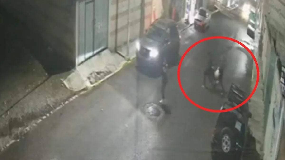 El rostro del terror: secuestro, golpe y robo en tienda de cosméticos en Puebla sacude a México