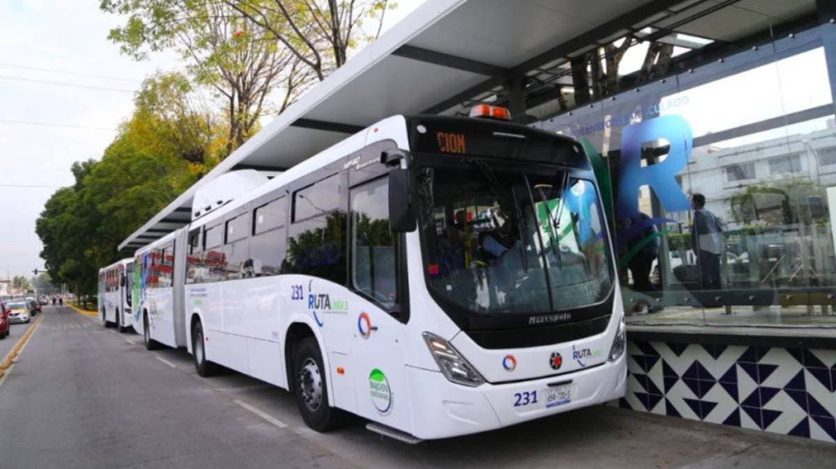 Terror sobre ruedas: Pasajeros atrapados tras brutal pelea dentro de unidad RUTA rumbo a la CAPU