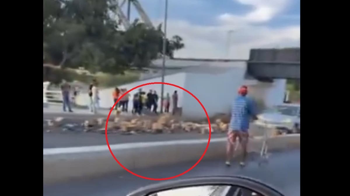 VIDEO: Tráiler cargado de cerveza se vuelca y desata rapiña masiva