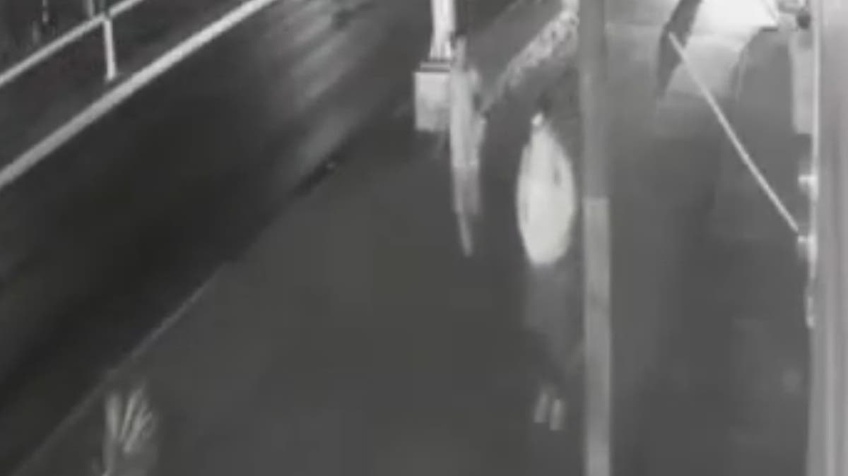 Ataque brutal en Puebla: indigente golpea a joven con piedra en la cabeza