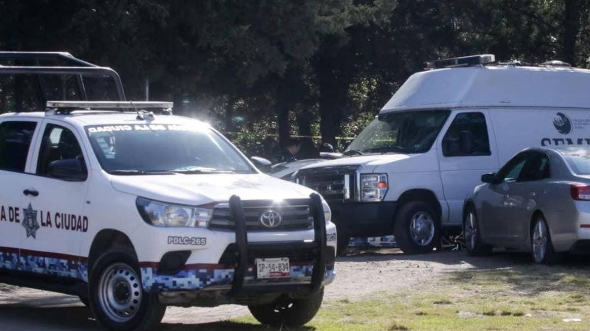 Macabro hallazgo en Xonacatepec: Ejecutan a un hombre cerca del Museo del Ajolote