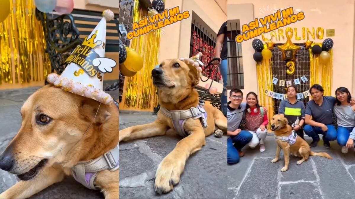 Celebración en la BUAP: Carolino, el “perrhijo” universitario, cumple tres años y lo festejan como un rockstar