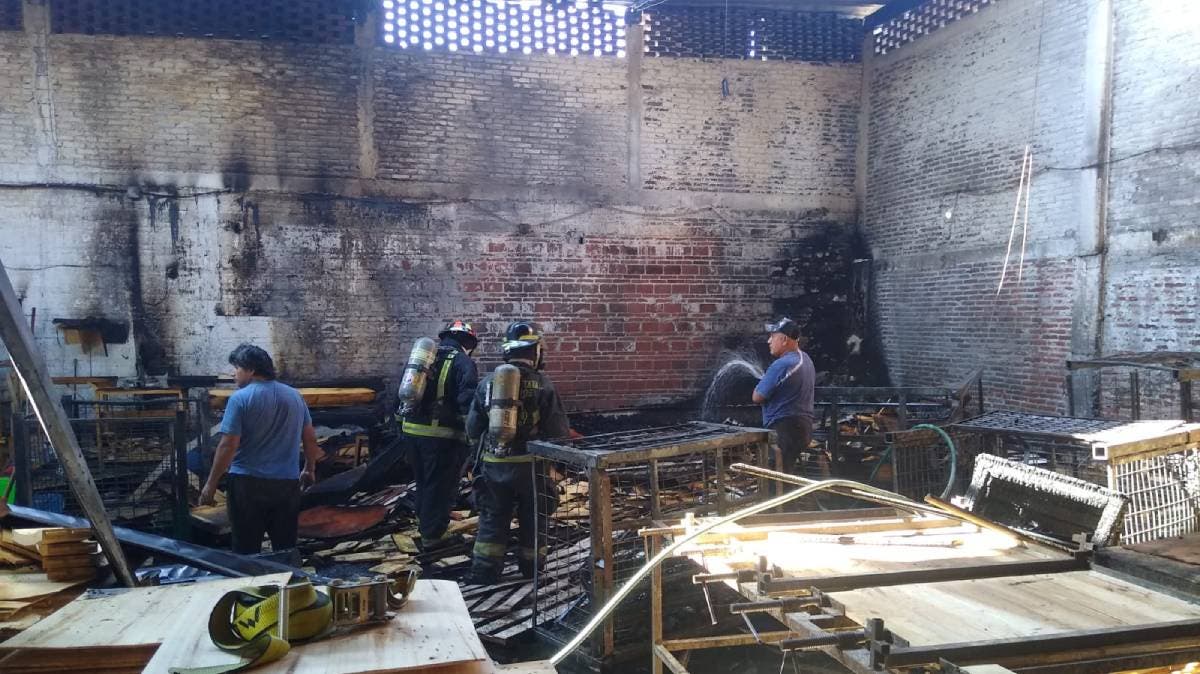 Infierno en Chipilo: Taller de Carpintería Arde y Deja un Herido; Héroes Controlan el Caos