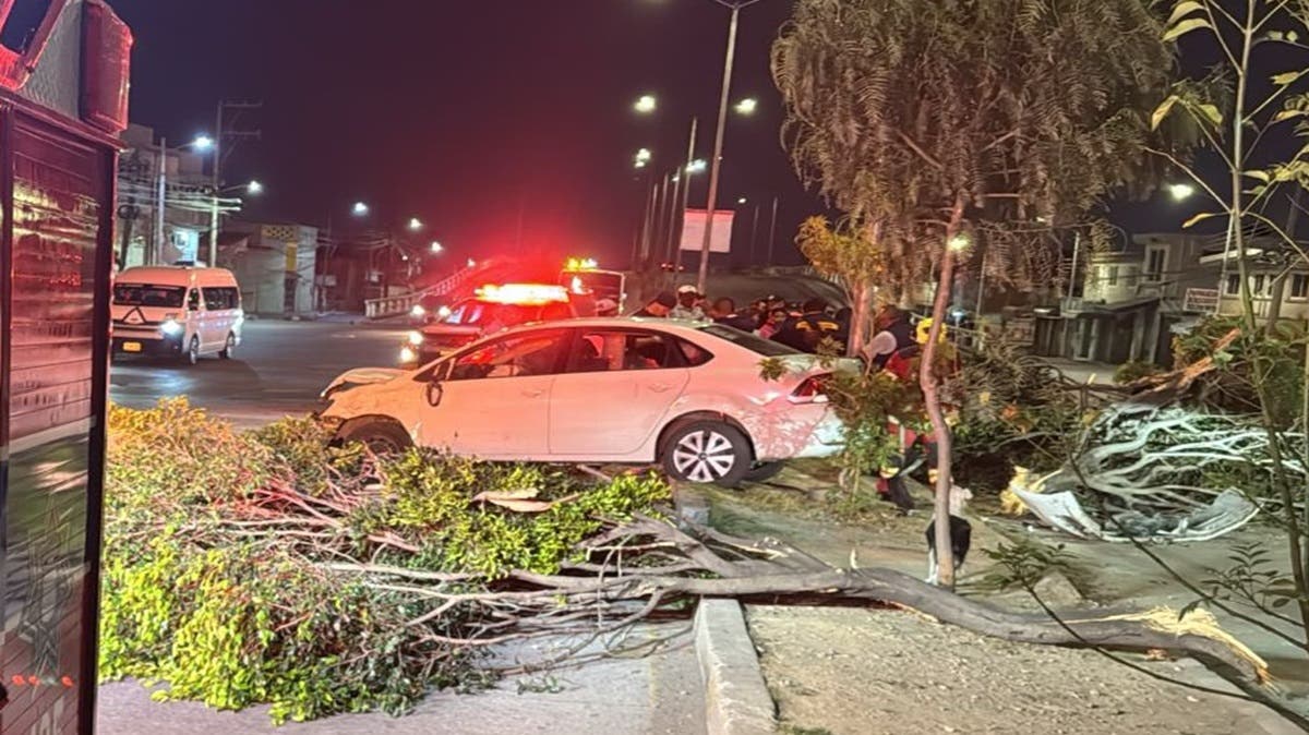 Se salvó de milagro: mujer se estrella contra un árbol en camino a La Resurrección y termina hospitalizada