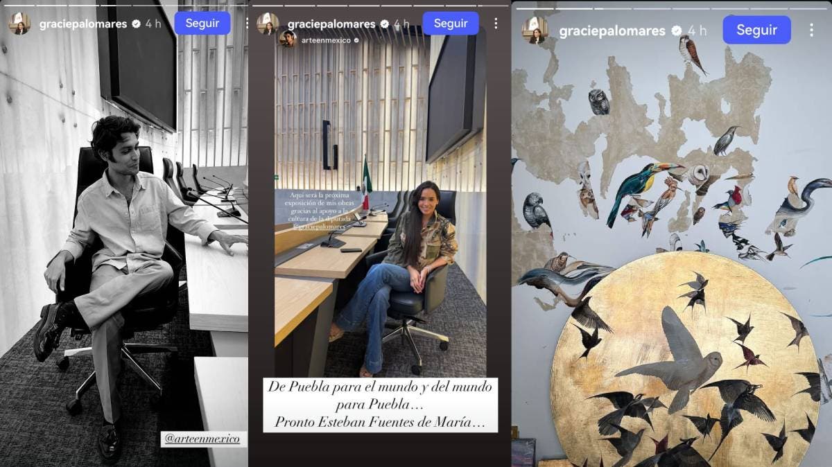 El “Niño Pájaro” al Congreso: entre arte, escándalo y acusaciones de maltrato animal