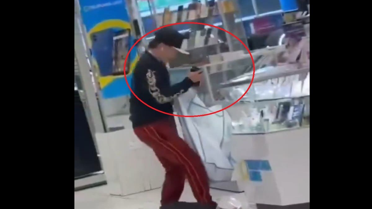 VIDEO: Ladrones rompen vitrinas con mazos y roban celulares en violento asalto a Coppel de Amozoc, Puebla