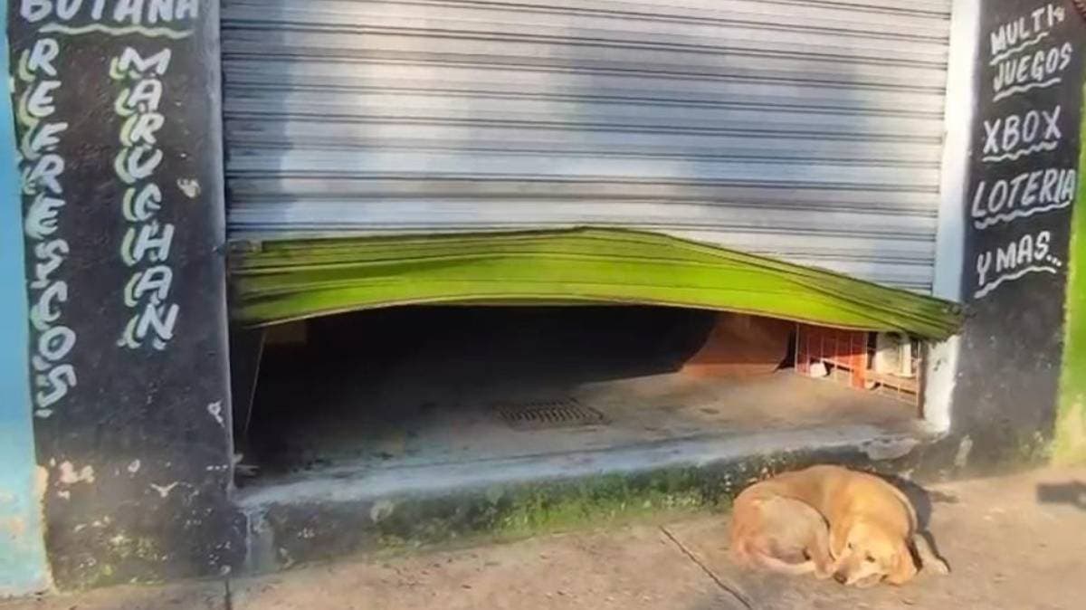 Roban tienda de videojuegos en Puebla: Dieron cortinazo y se llevaron hasta la máquina de peluches