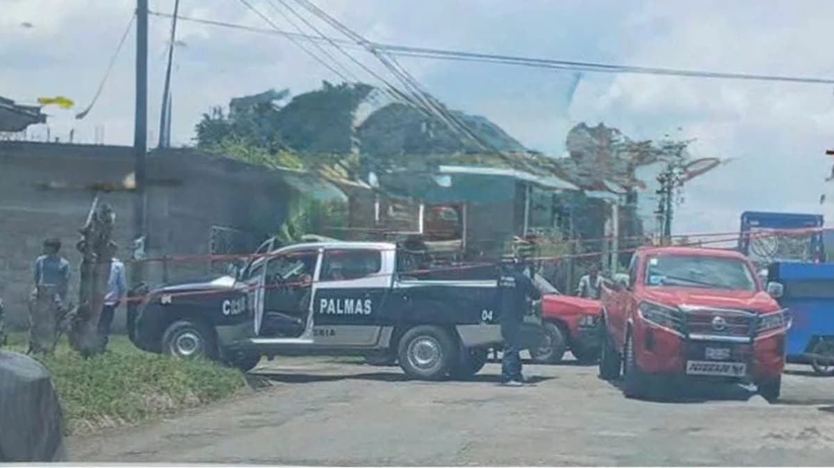 Persecución termina en muerte: patrulla mata a presunto delincuente en Tlapanalá