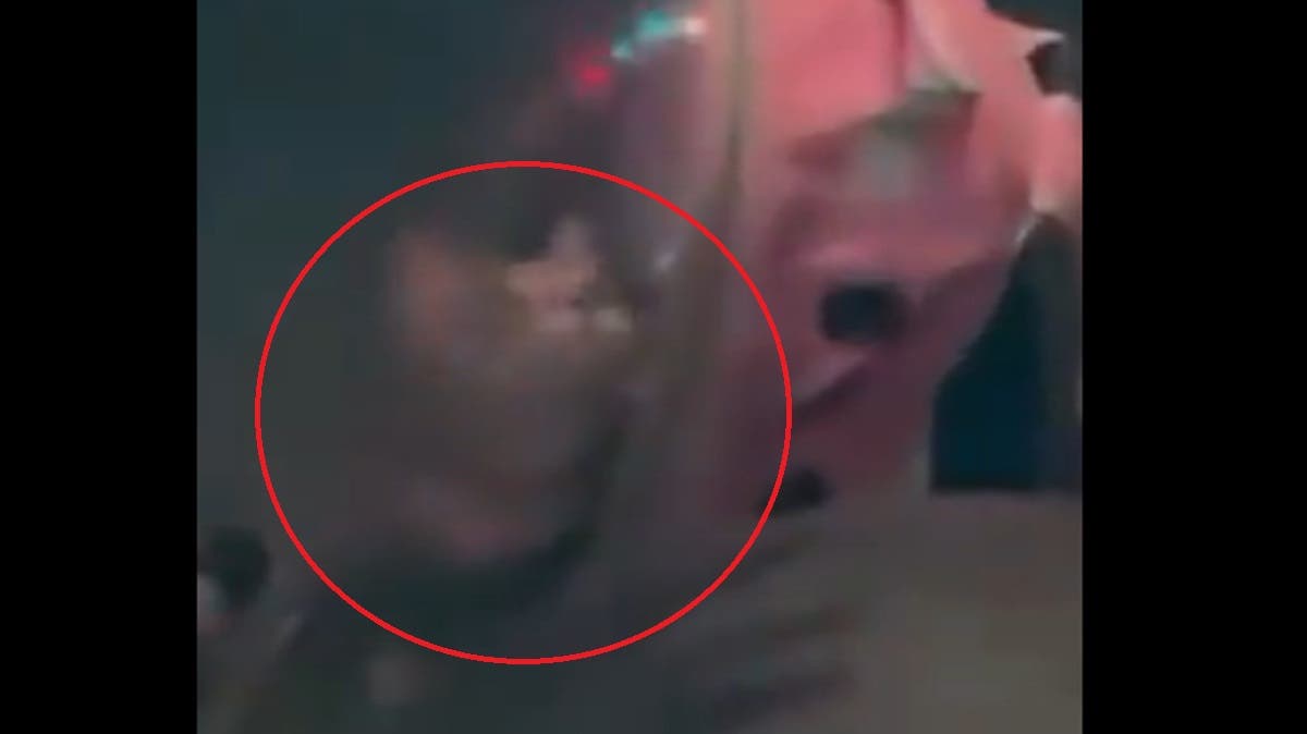 ¡Lleva a su gato al antro y desata polémica! Acusan maltrato animal