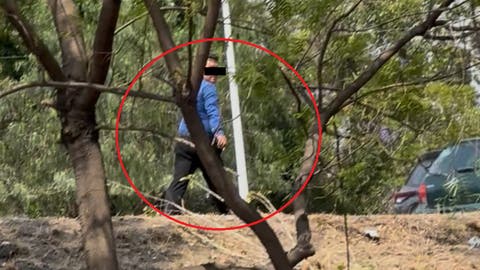 ¡ALERTA en Los Héroes! Identifican a sujeto que  acosa mujeres desde los árboles