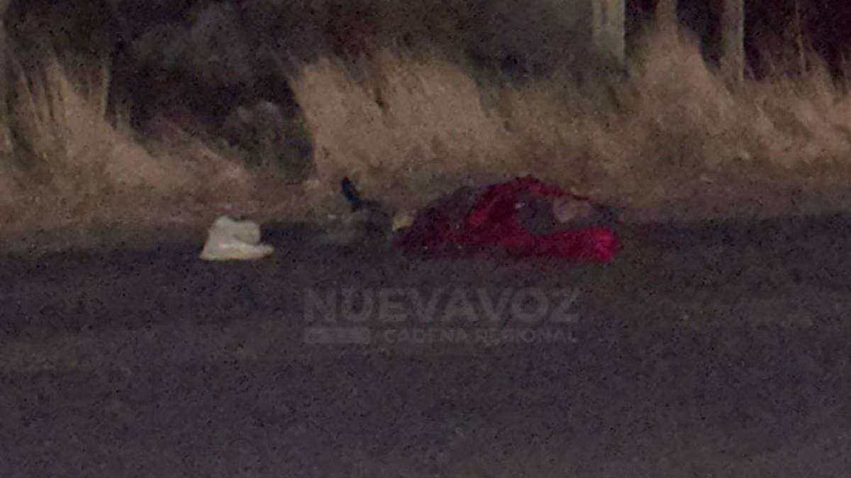 Ciclista muere arrollado en la México-Puebla: conductor se da a la fuga y deja la tragedia atrás