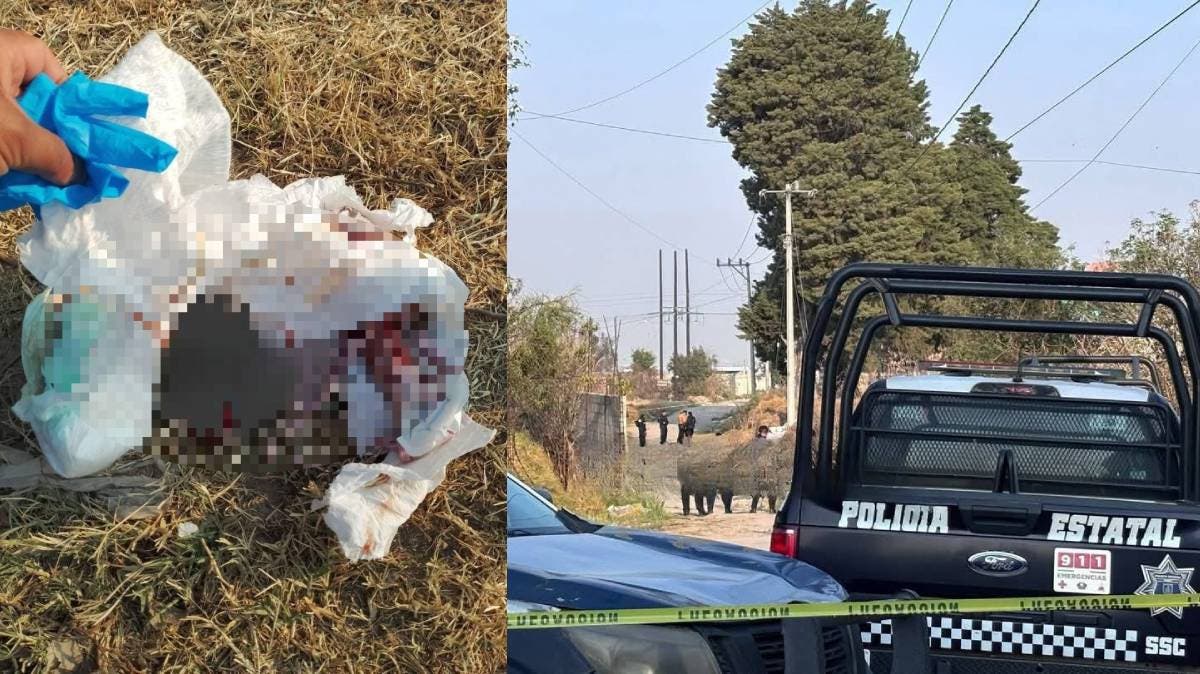 Horror en San Sebastián Xolalpan: hallan un feto envuelto en pañal cerca del sitio donde apareció un cadáver calcinado