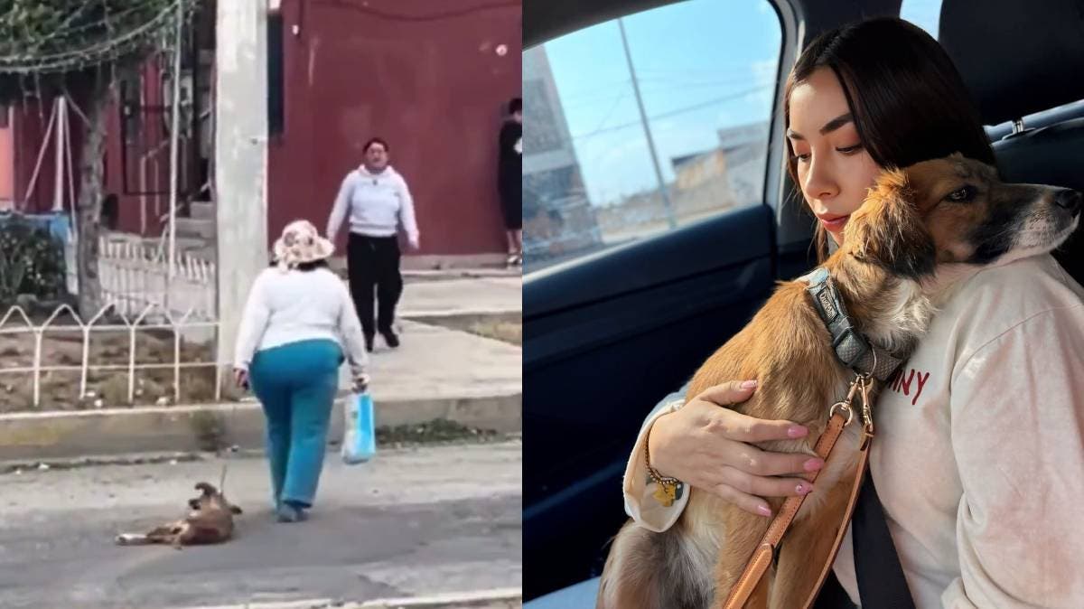 Crueldad en El Palmar: mujer arrastra a perrita con una cuerda en el cuello y es captada en video