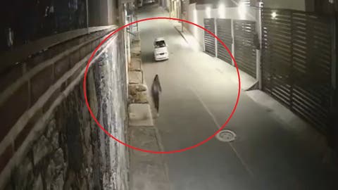 “Corrió por su vida”: joven escapa de intento de secuestro en un callejón (VIDEO)