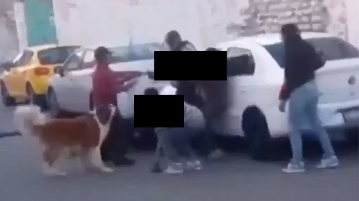 VIDEO | Borrachos golpean a dos policías; hasta el perro se metió