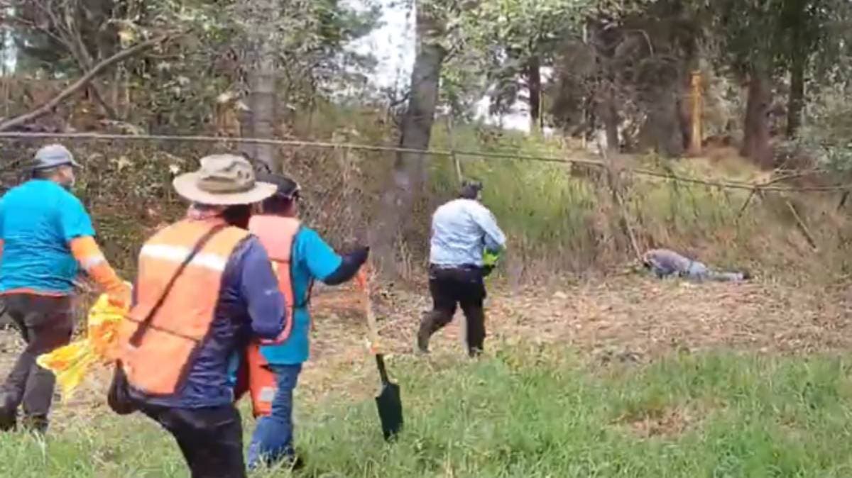 Terror en el Atoyac: Enjambre de avispas interrumpe jornada de limpieza y deja varios heridos